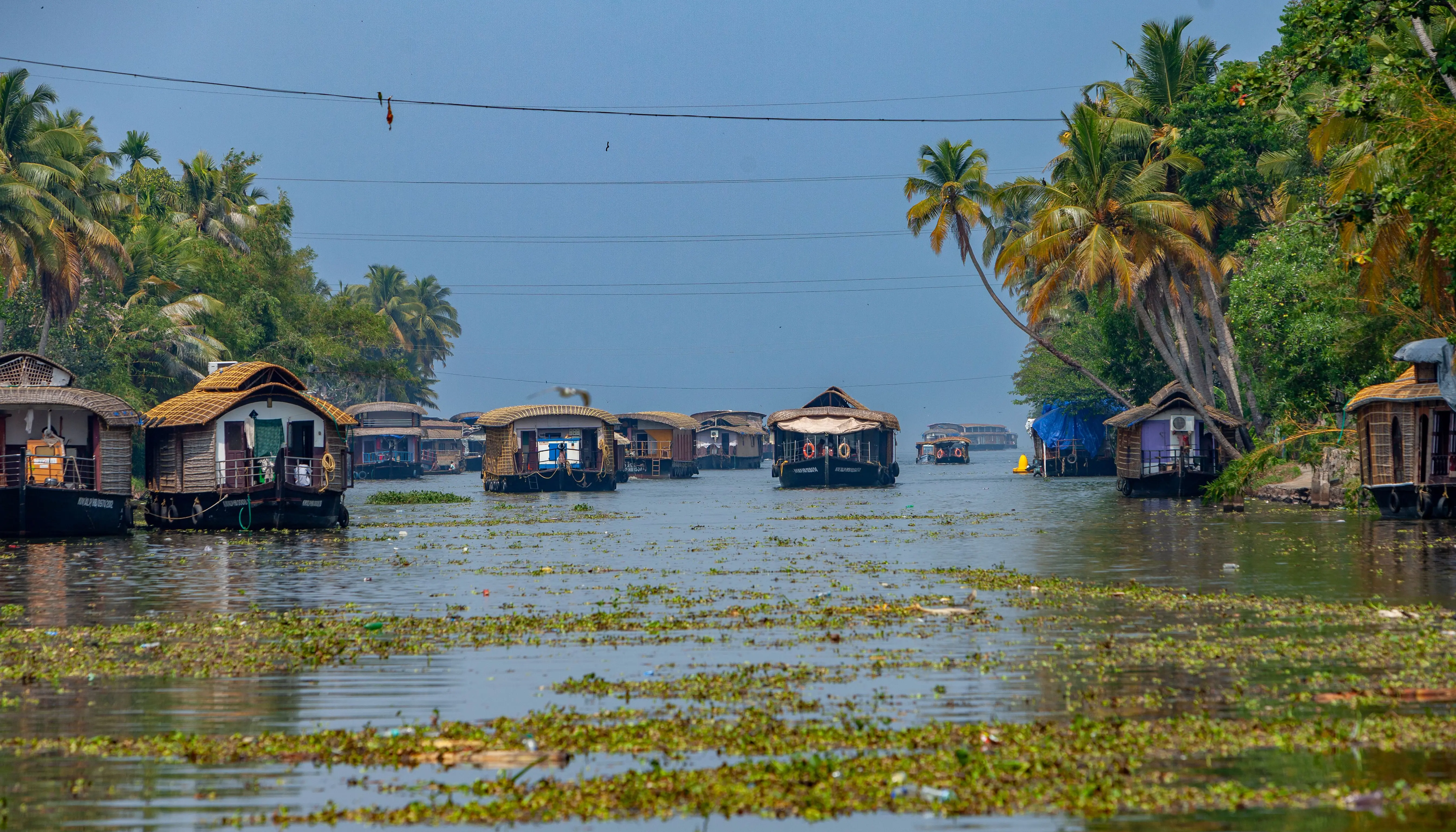 Alleppey